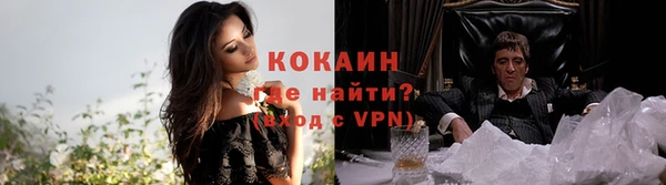 гидра Сафоново