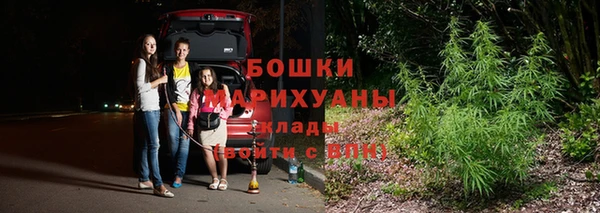 Альфа ПВП Белокуриха