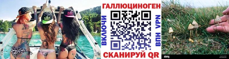 Галлюциногенные грибы Psilocybine cubensis Острогожск