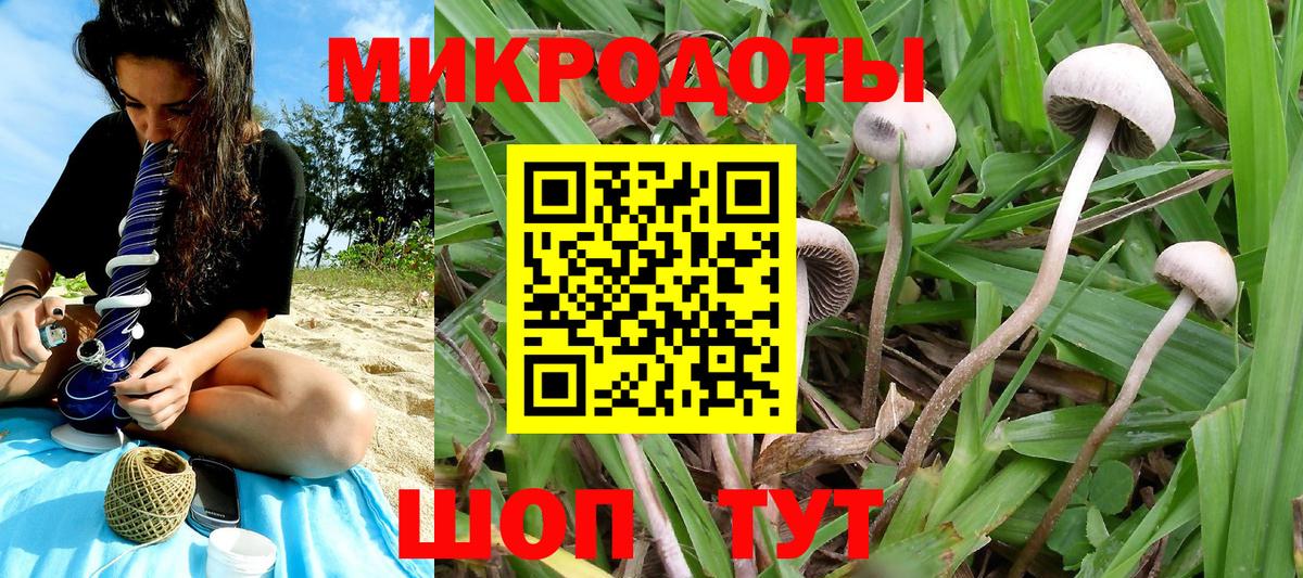 Псилоцибиновые грибы Psilocybine cubensis  Галлюциногенные грибы мухоморы  Острогожск  Вход с VPN 